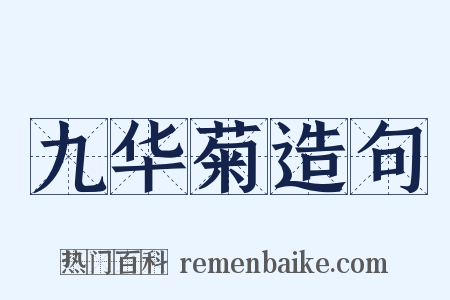 九华菊造句是什么意思的图片